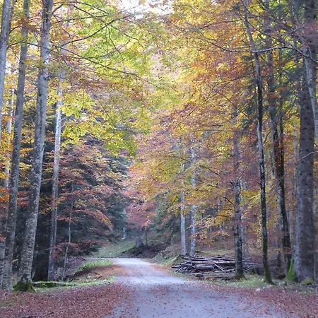 Casa Ines, アパート *